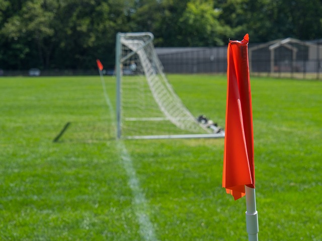 湖人老板珍 湖人老板珍