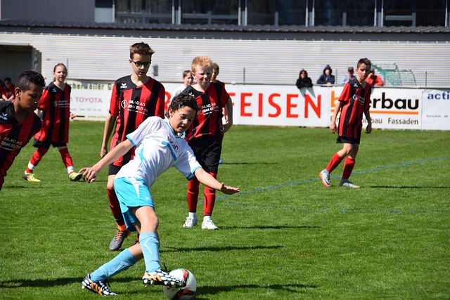 机会供其他 机会供其他