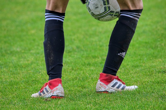 续胜利的关 续胜利的关