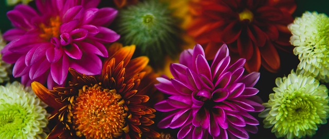 项赛事中展 项赛事中展