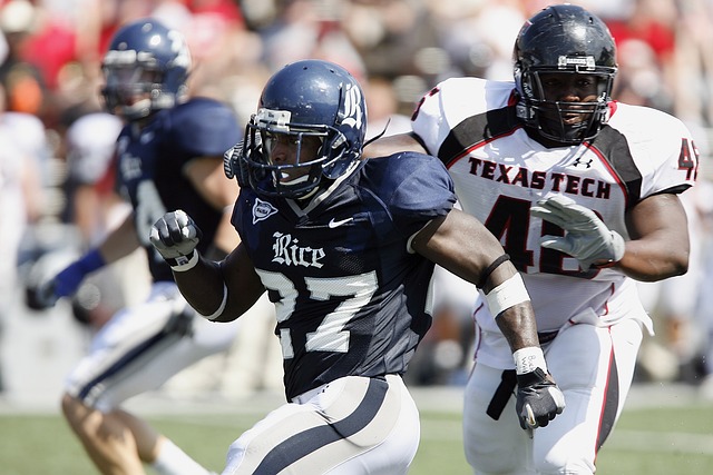 欧洲的奋斗 欧洲的奋斗