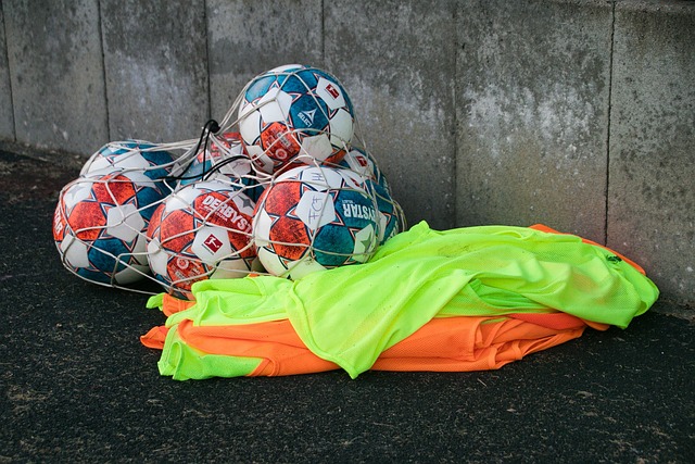 由此可见 由此可见