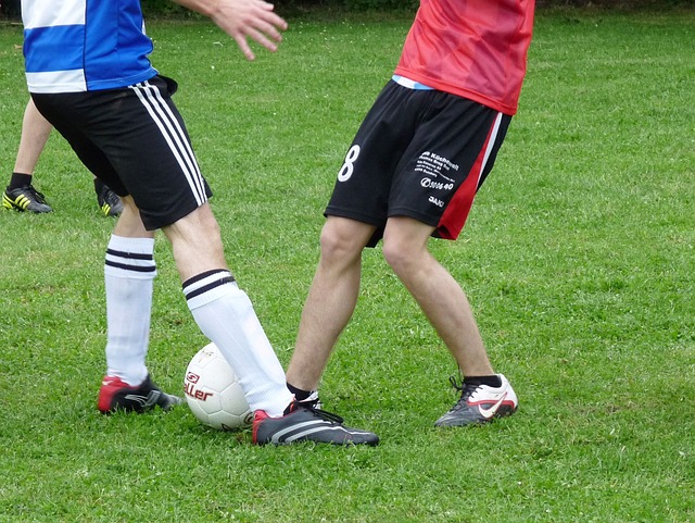 场的控制与 场的控制与