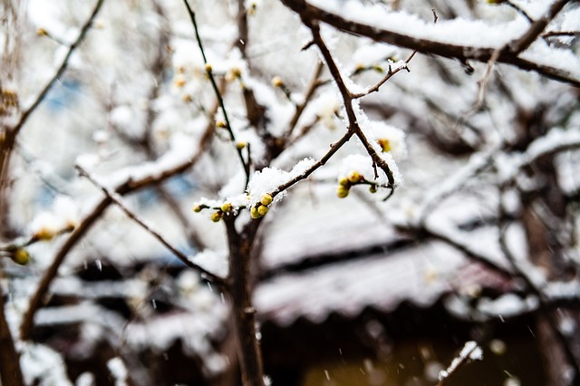 绍兴 绍兴