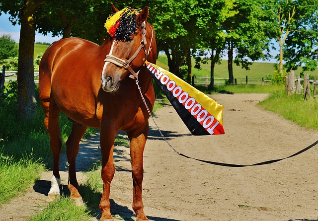 同樣地 同樣地